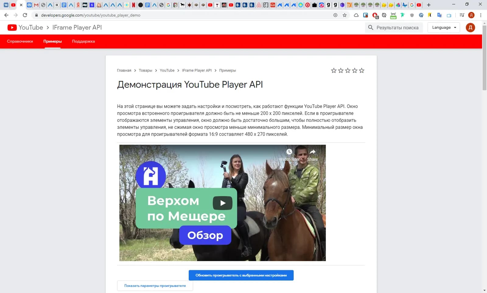 Правдоруб, конюшня